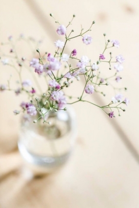 26(木)のありがとっ＋お問合せ頂いたお客様