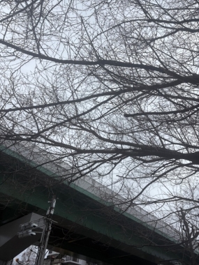 良いお天気です。