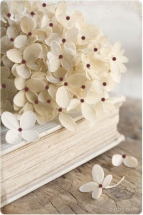 5(木)のありがとっ