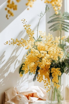 8(日)のありがとっ