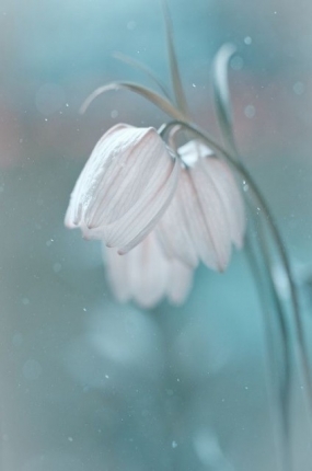 13(金)のありがとっ