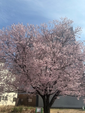 あいにくの雨ですが。