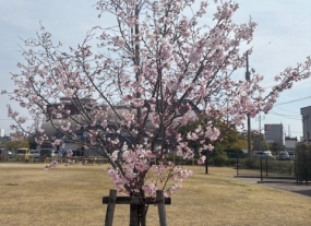 いい週末を。。